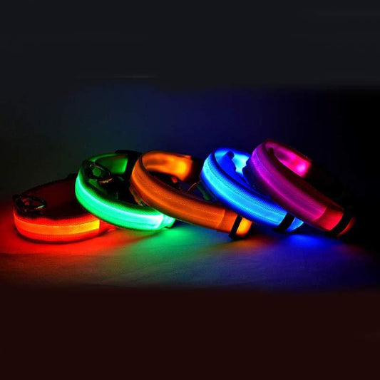 Nylon LED Adjustable Leash - Cutezy