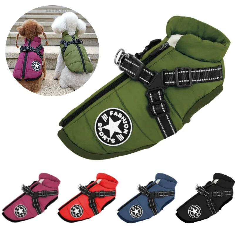 Dog Jacket With Harness - Cutezy