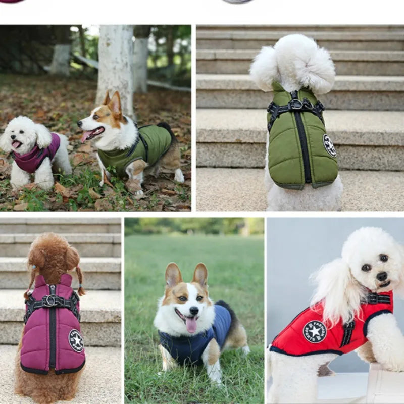 Dog Jacket With Harness - Cutezy