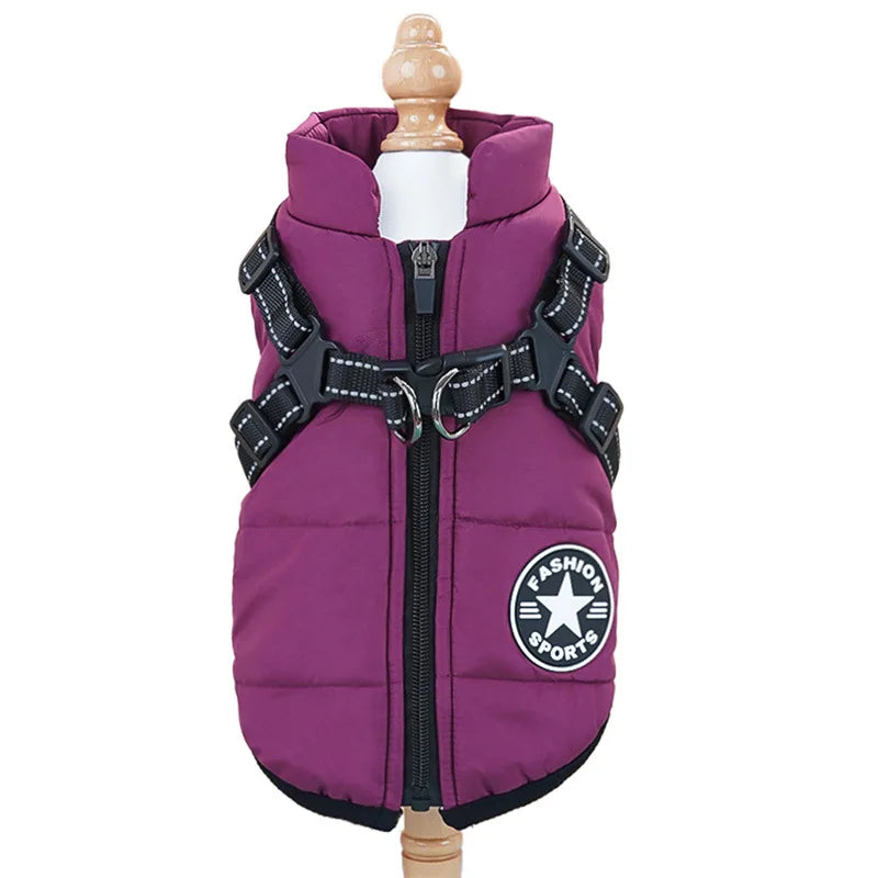 Dog Jacket With Harness - Cutezy