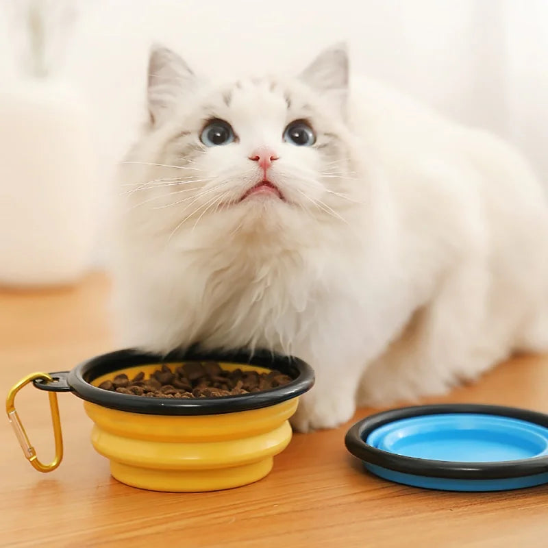 Pet Folding Bowl With Keychain - Cutezy